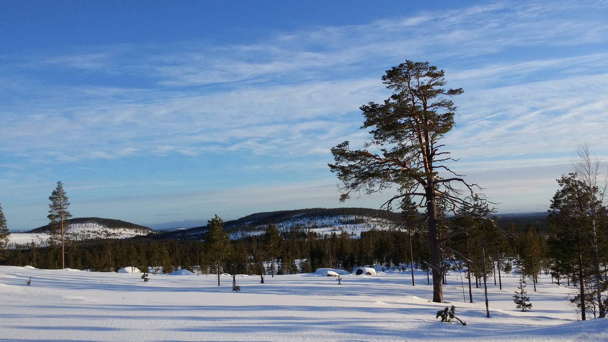 Paysage de montagne en hiver