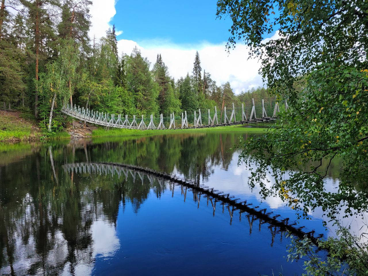 Pont suspendu dans un parc naturel