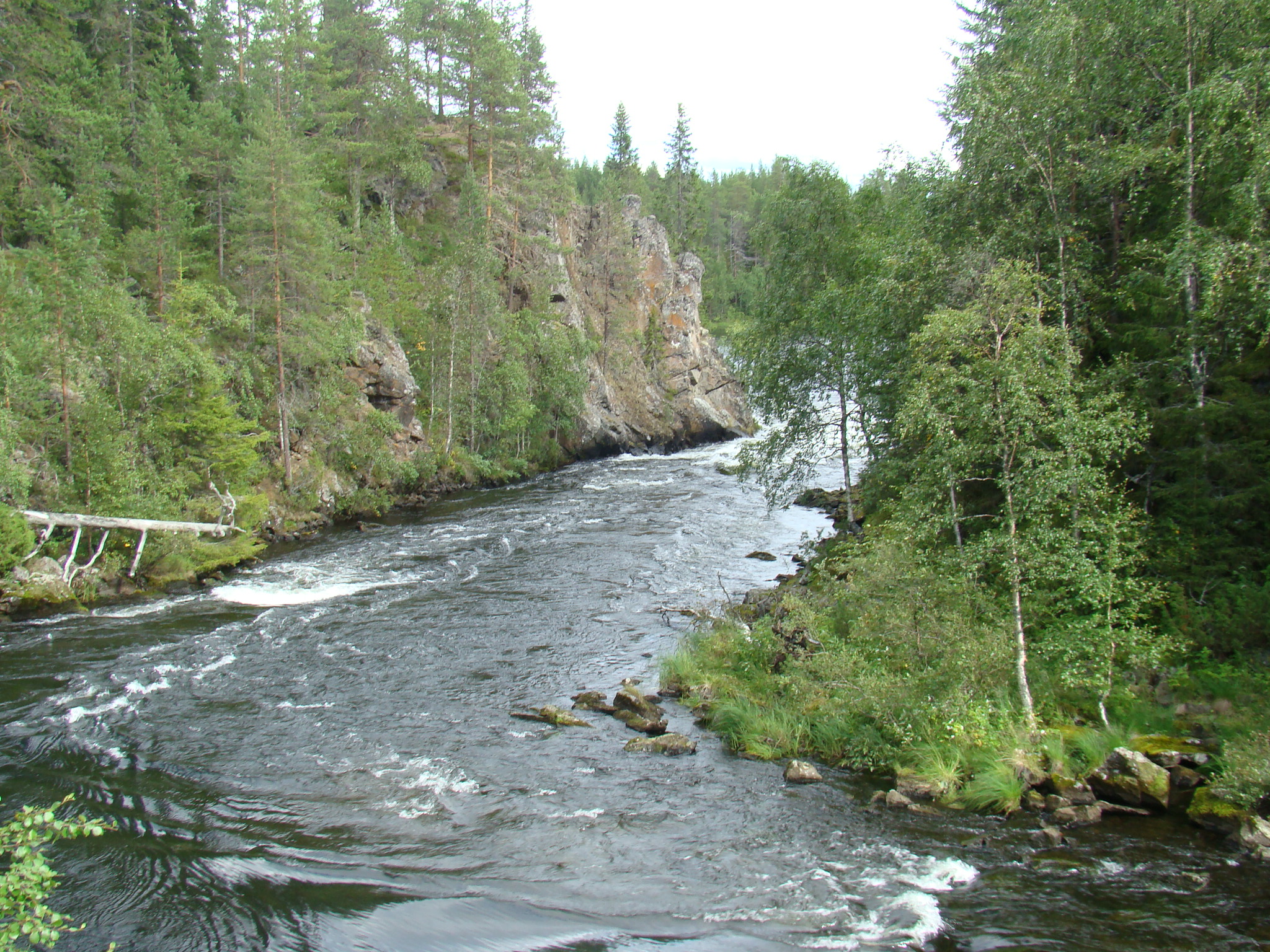 La rivière