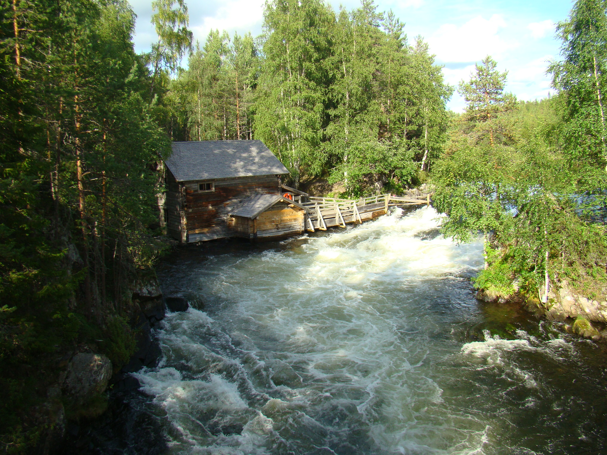 Rivière en laponie en été