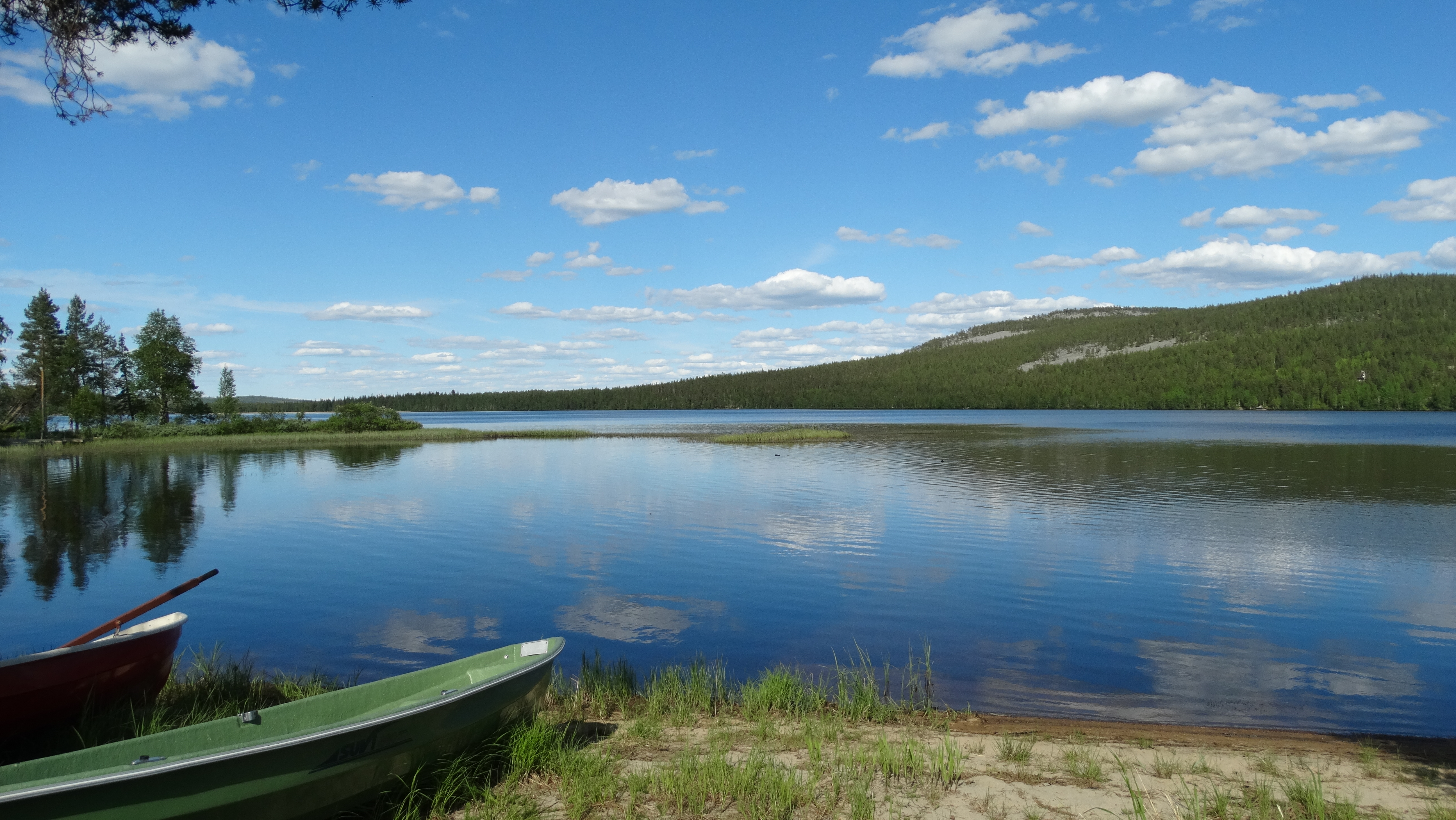 Canoe laissé dans un bois