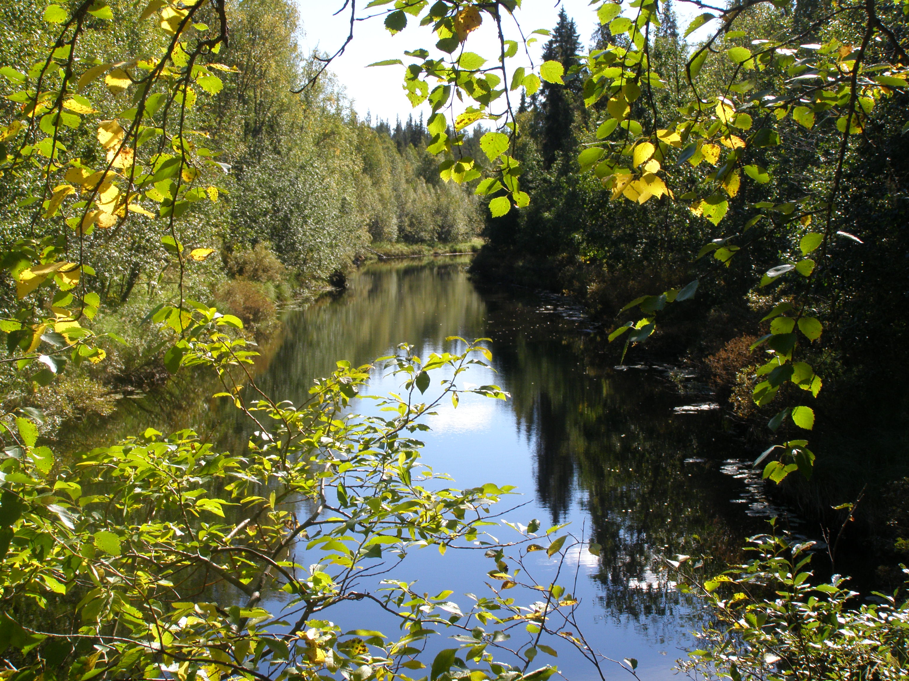Rivière