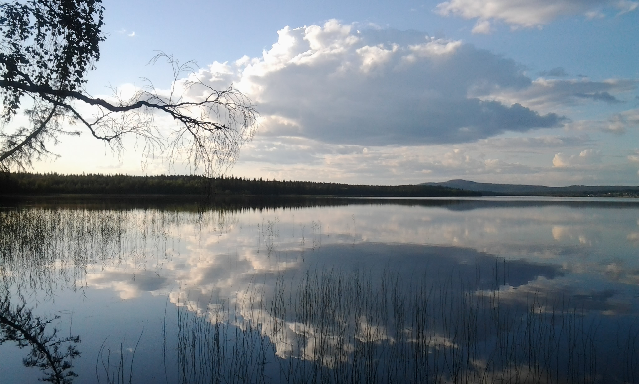 Vue large de rivière