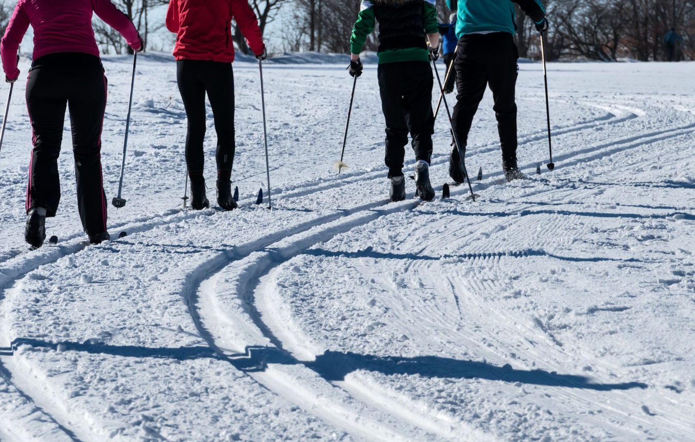 Groupe qui fait du ski de fond