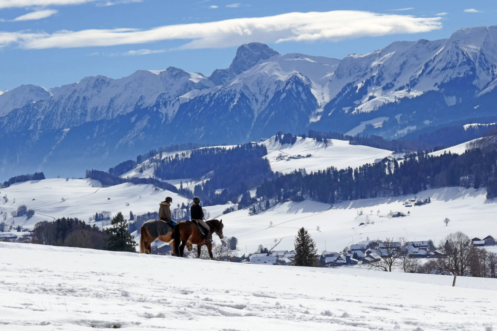 Balade en hiver avec chevaux