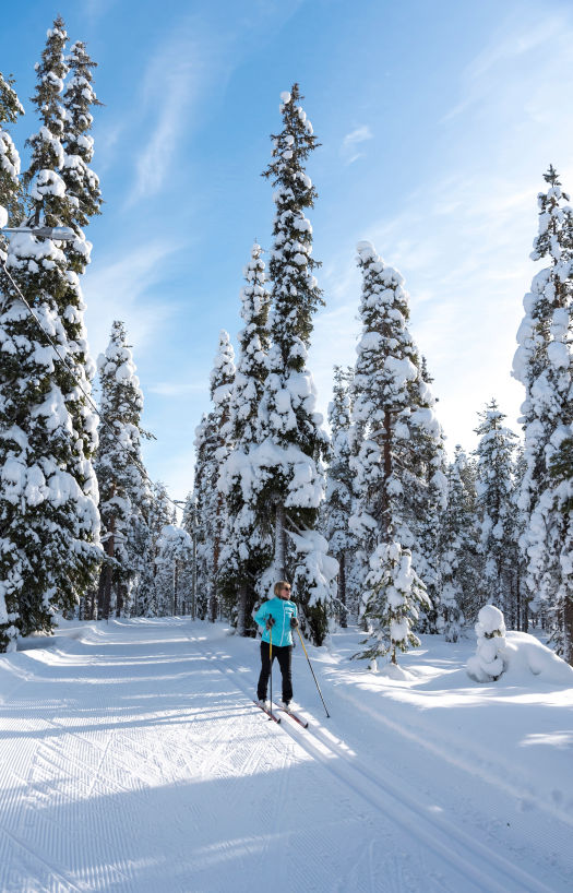 Femme qui fait du ski de fond