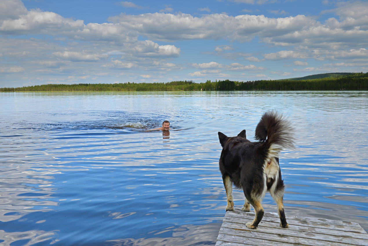 Homme dans un lac qui se baigne avec un chien qui l'attend