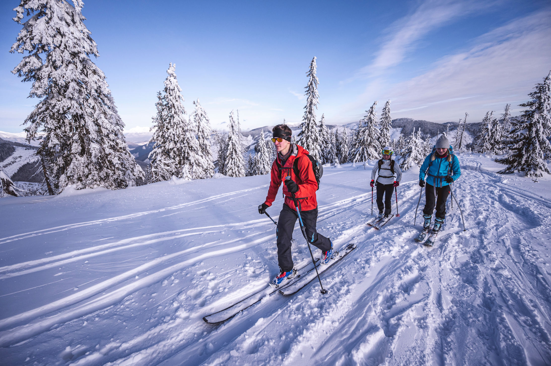 Petit groupe qui fait du ski de fond