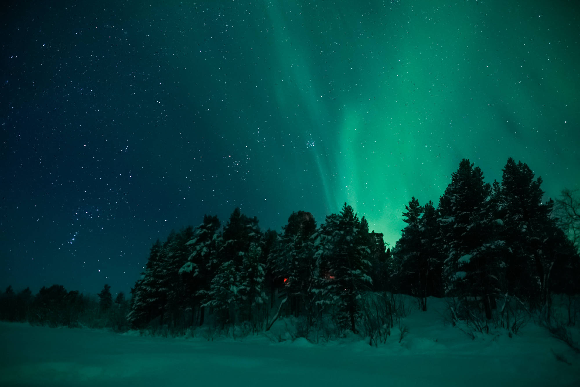 Vision d'Aurores Boréales
