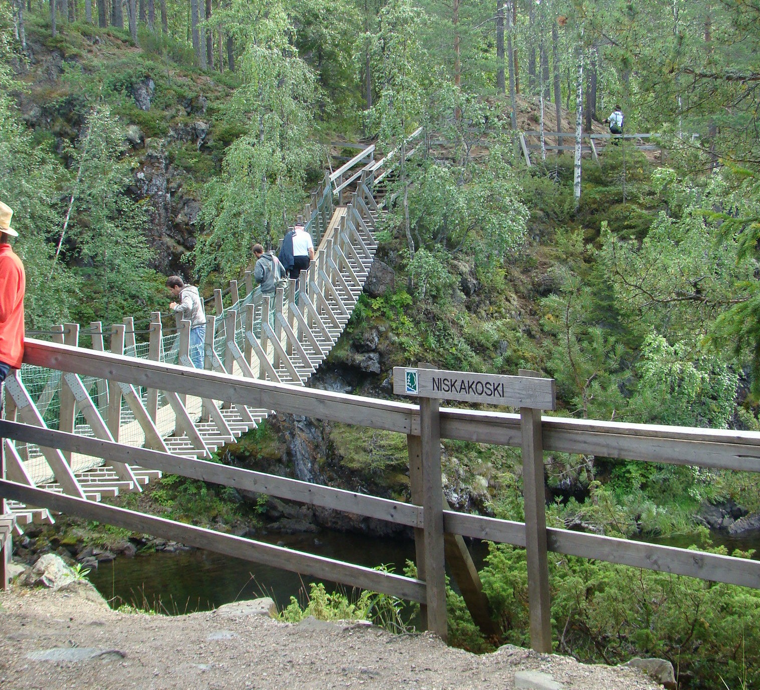 Pont en bois suspendu dans forêt en laponie