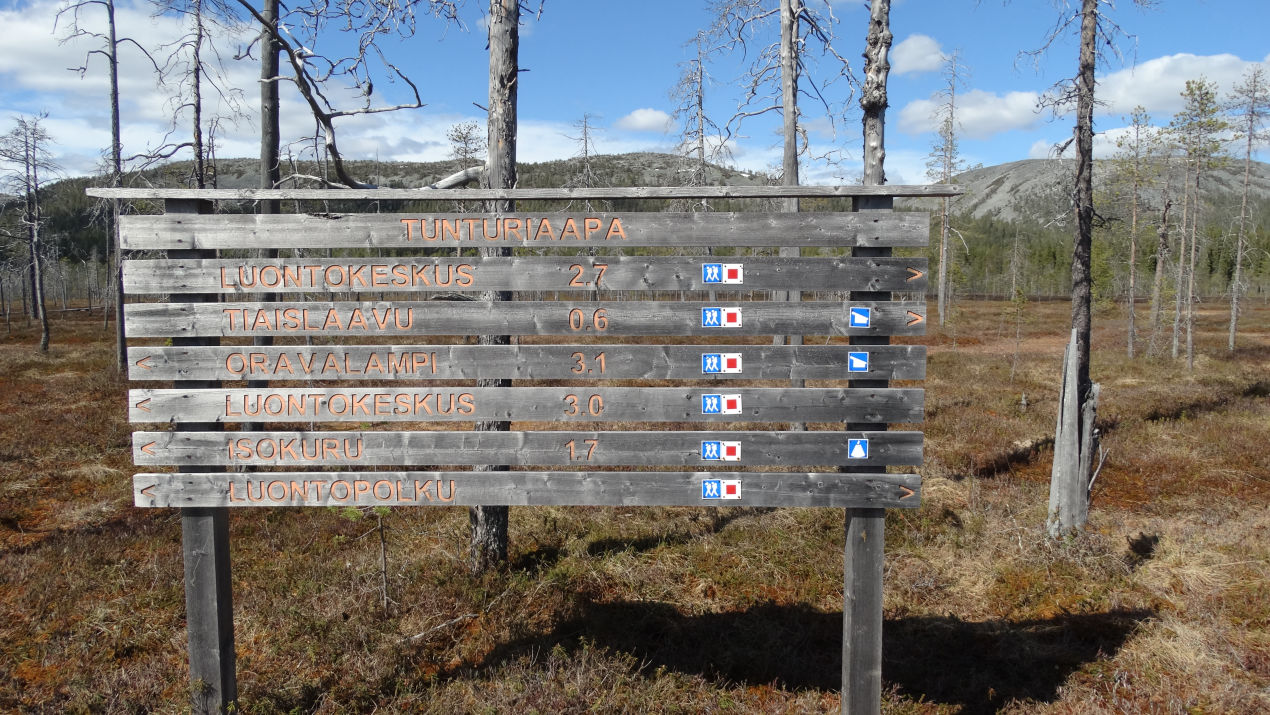 Panneau de direction forêt laponie en été