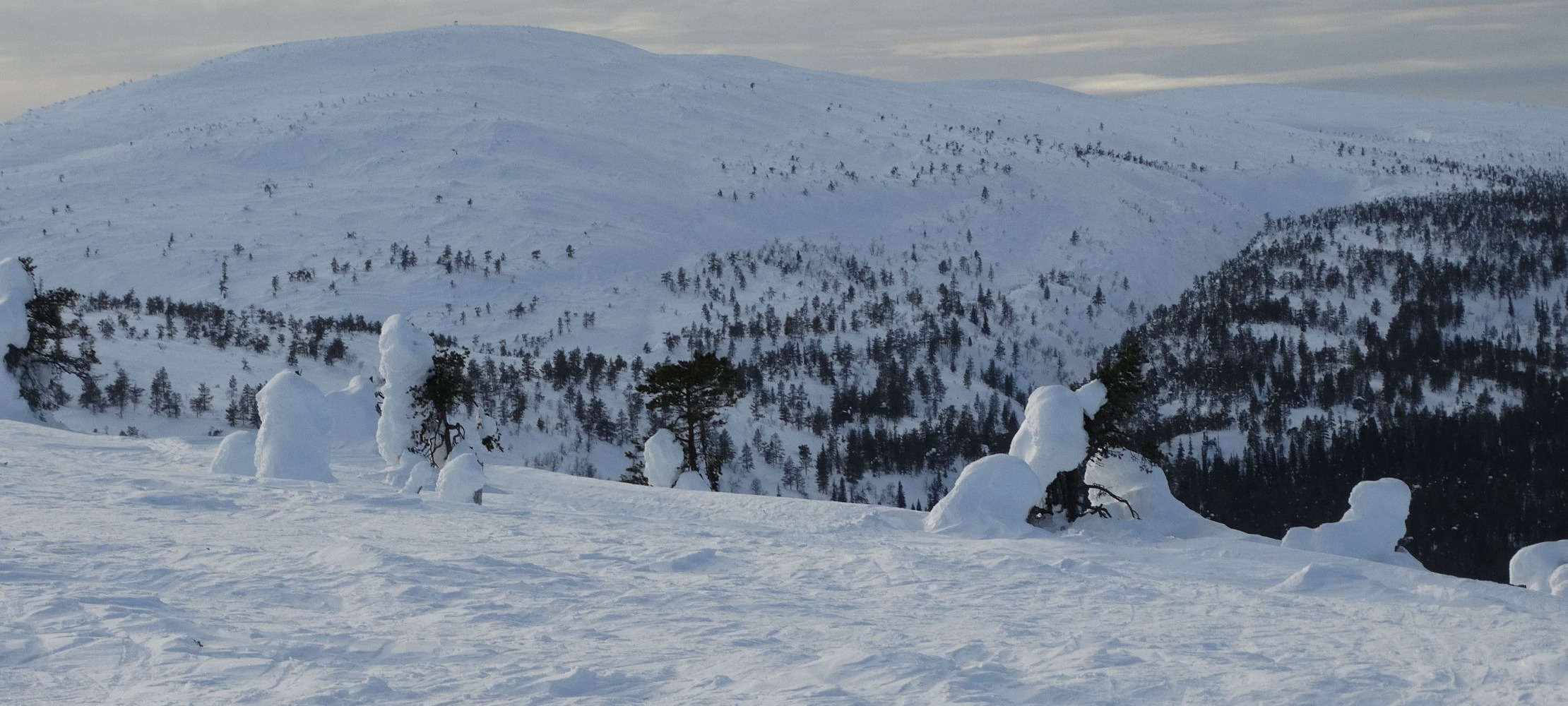 Panorama de montage en hiver
