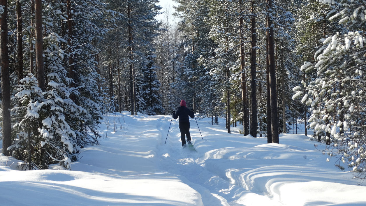 Femme de dos qui fait des raquettes