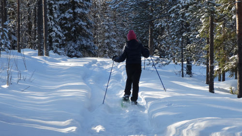 Une femme fait une balade en raquette