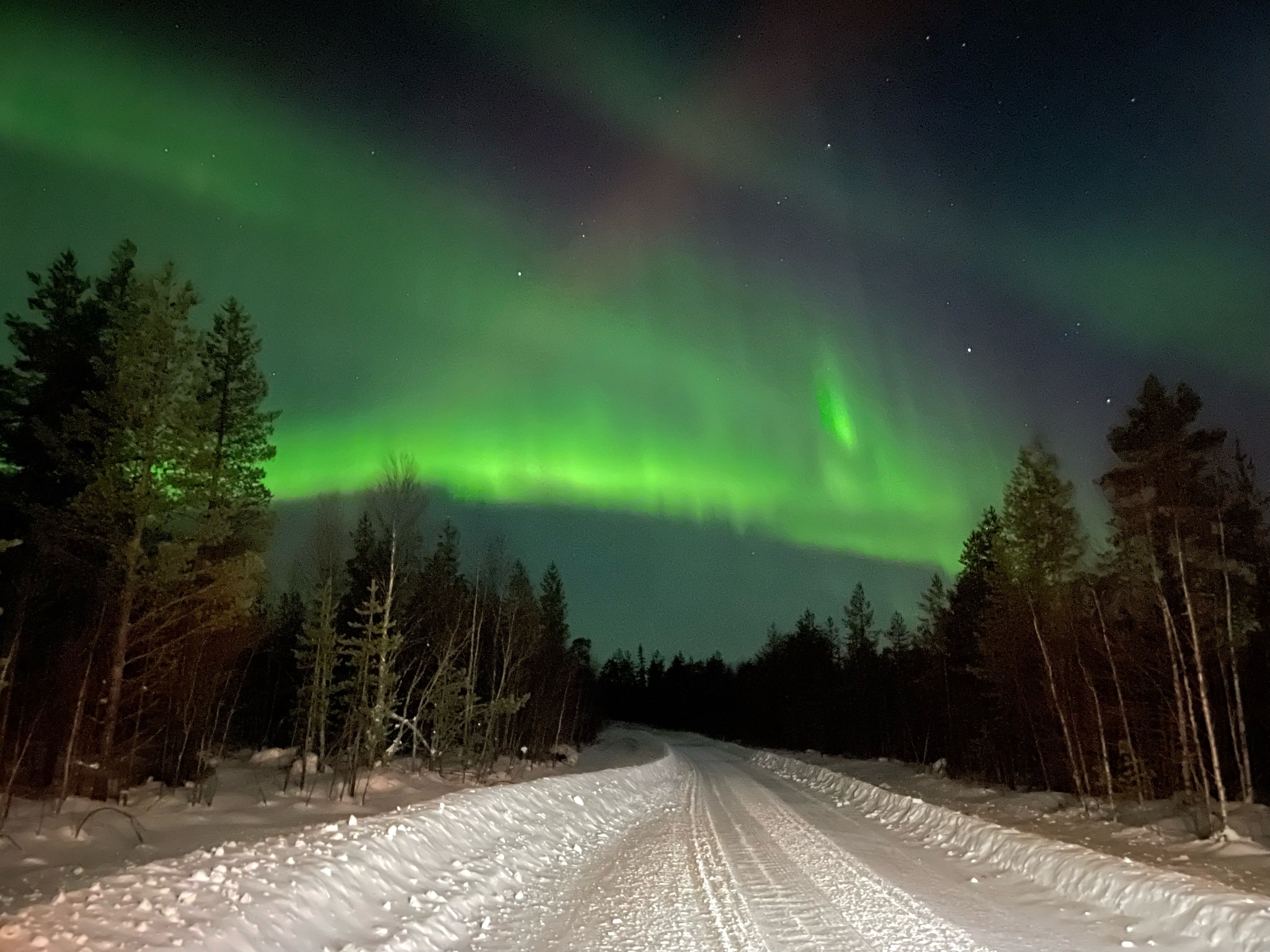 Vision d'Aurores Boréales