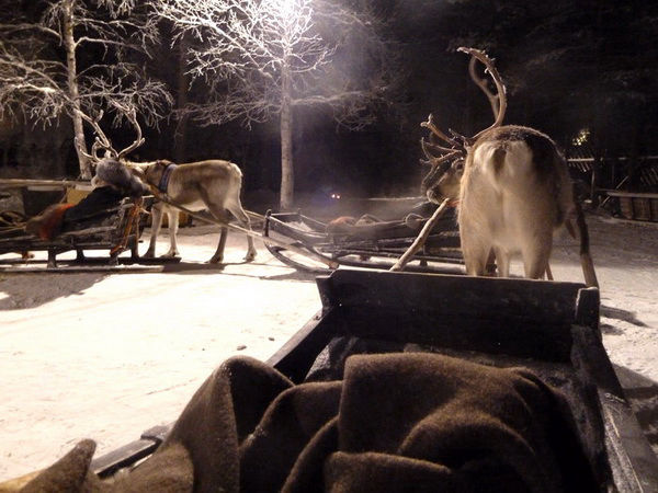 Vidéo d'une balade en traineau à Rennes