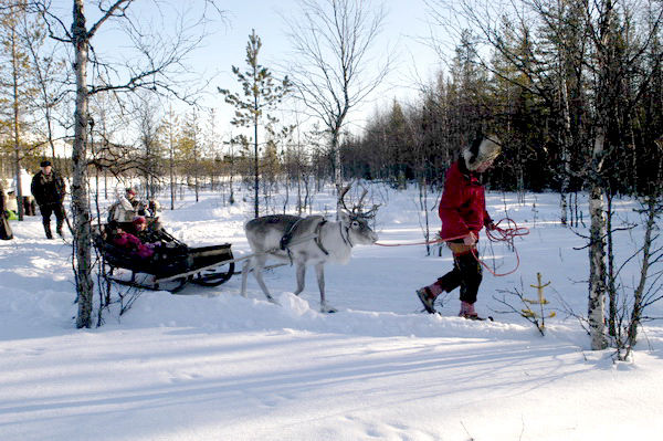 Un homme tire un traineau de Rennes dans la neige